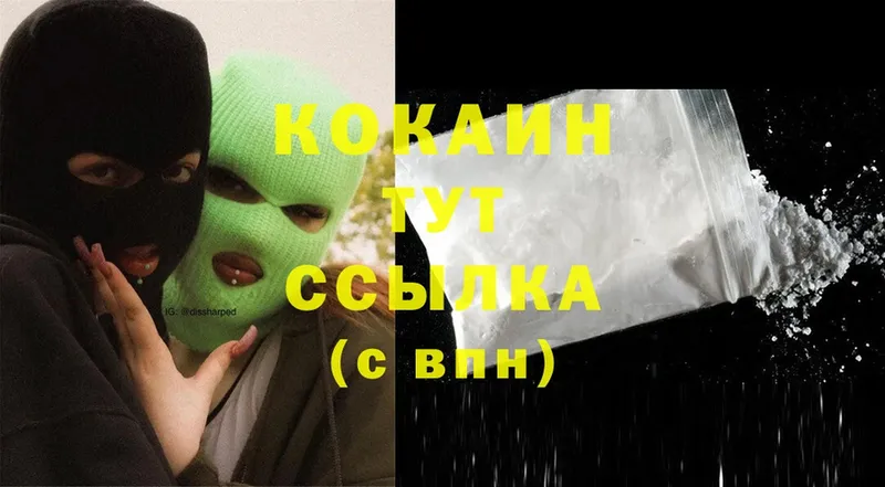 Cocaine Fish Scale  darknet Telegram  Северобайкальск 